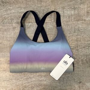 Alo Vapor Gradient Dusk Take Charge Bra NWT